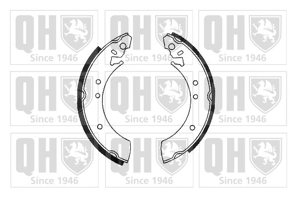 Brake Shoe Set (BS509)