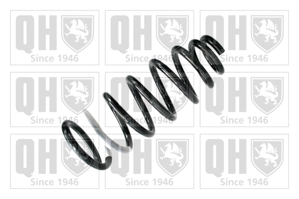 Suspension Spring (QCS8109)