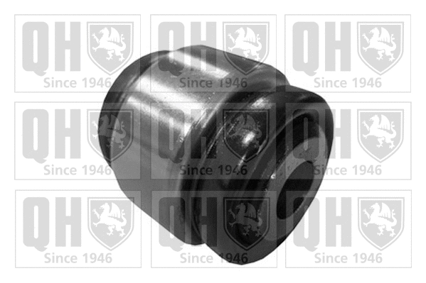 Mounting, control/trailing arm (EMS8346)