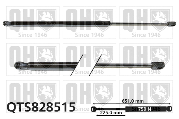 Gas Spring, boot/cargo area (QTS828515)