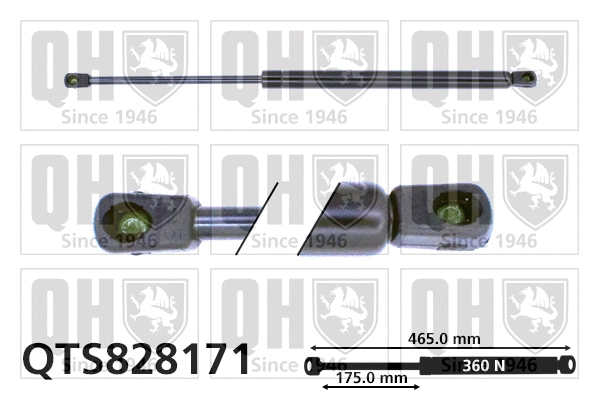 Gas Spring, boot/cargo area (QTS828171)