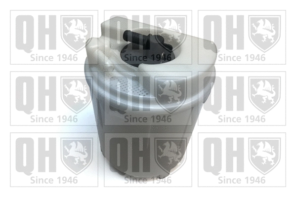 Fuel Pump (QFP787)