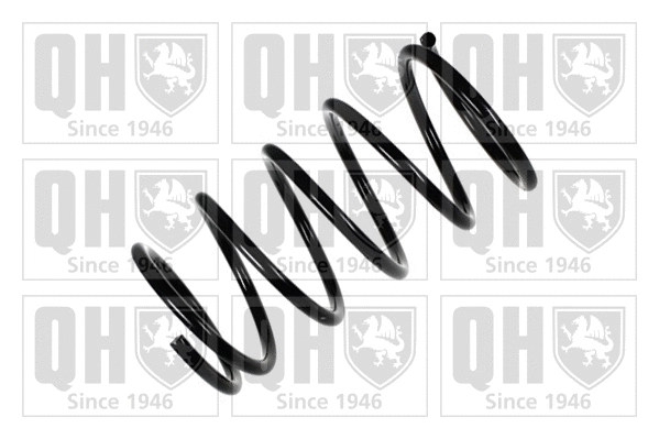Suspension Spring (QCS7056)