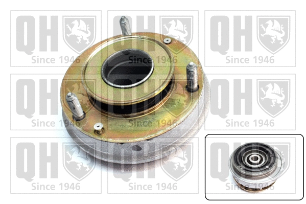 Suspension Strut Support Mount (EMA1838)