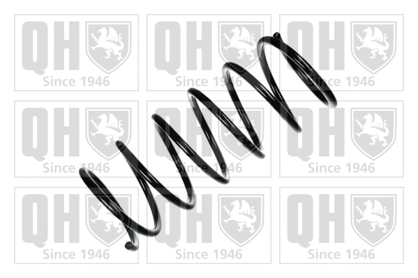 Suspension Spring (QCS7002)