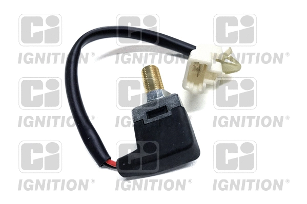 Switch, clutch control (cruise control) (XBLS307)