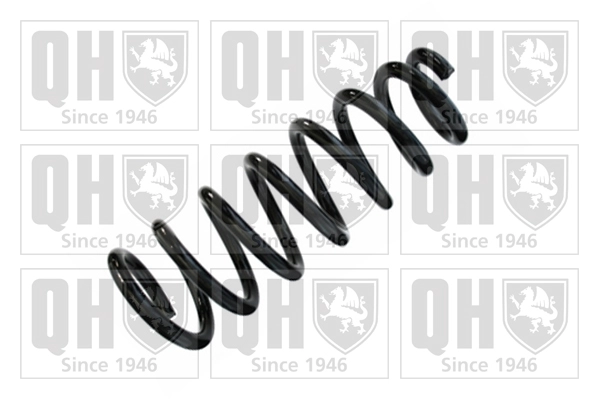 Suspension Spring (QCS8493)