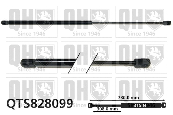 Gas Spring, bonnet (QTS828099)
