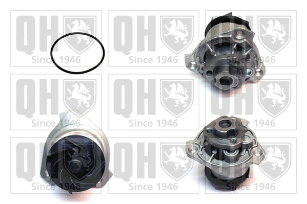 Water Pump, engine cooling (QCP3576)