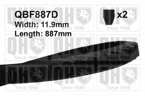 V-Belt (QBF887D)