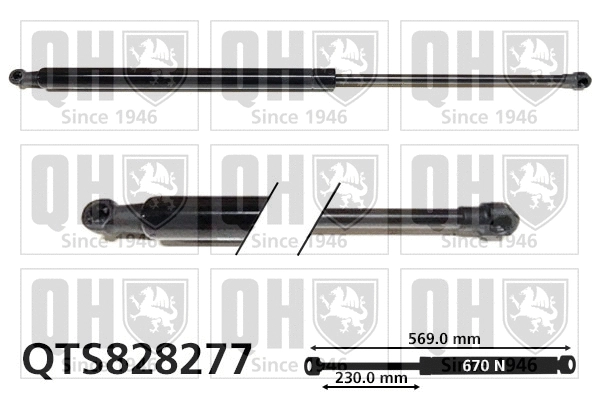 Gas Spring, boot/cargo area (QTS828277)