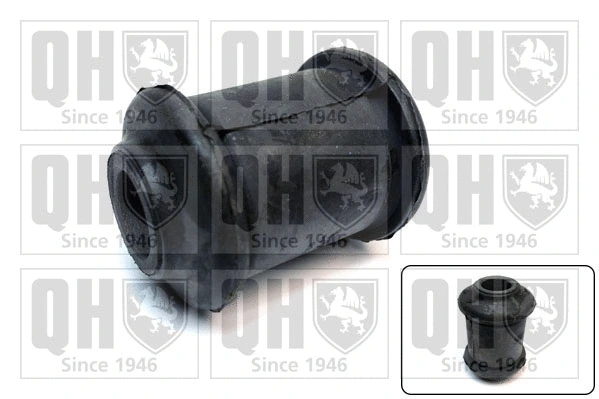 Mounting, control/trailing arm (EMS8755)