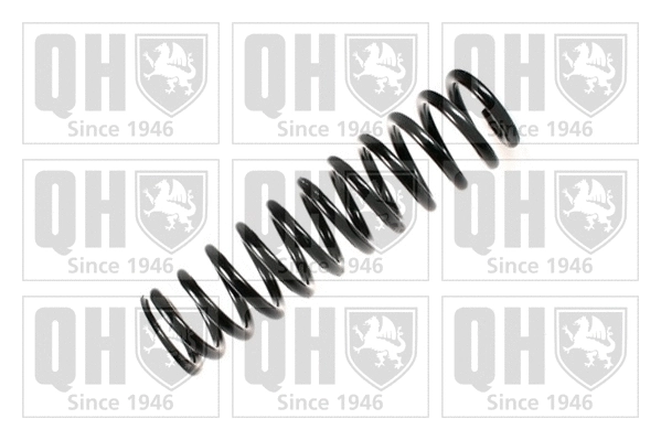 Suspension Spring (QCS5992)