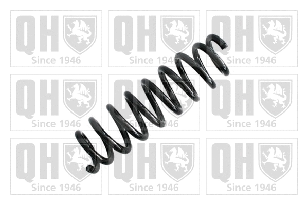 Suspension Spring (QCS6503)