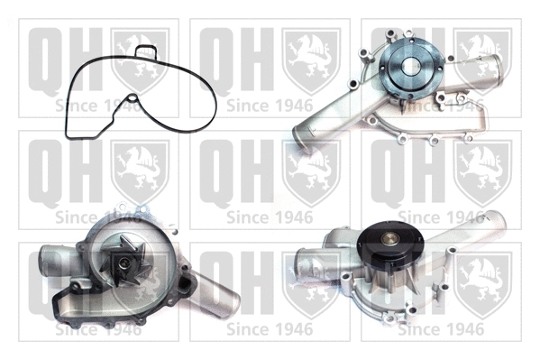 Water Pump, engine cooling (QCP3875)