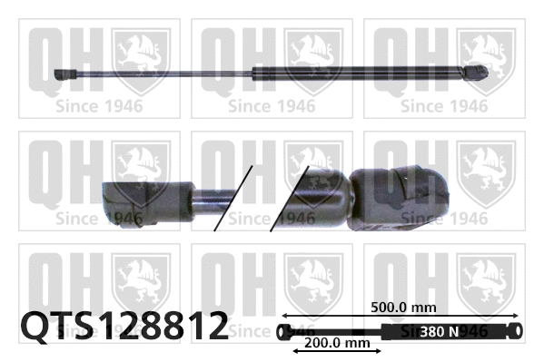 Gas Spring, boot/cargo area (QTS128812)