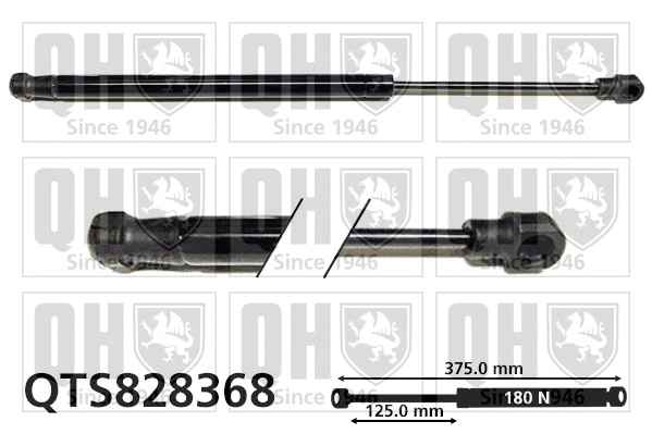 Gas Spring, boot/cargo area (QTS828368)