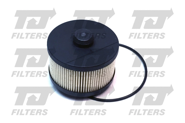 Fuel Filter (QFF0120)