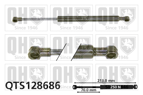 Gas Spring, bonnet (QTS128686)