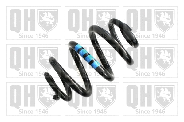 Suspension Spring (QCS5425)