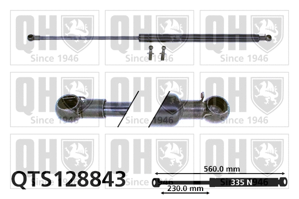 Gas Spring, boot/cargo area (QTS128843)