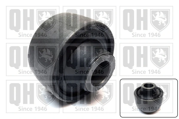 Mounting, control/trailing arm (EMS1988)
