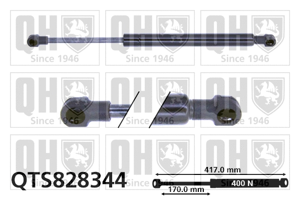 Gas Spring, boot/cargo area (QTS828344)