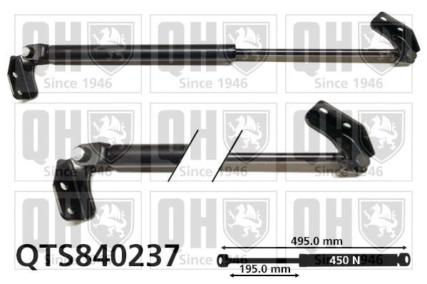 Gas Spring, boot/cargo area (QTS840237)