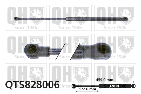 Gas Spring, boot/cargo area (QTS828006)