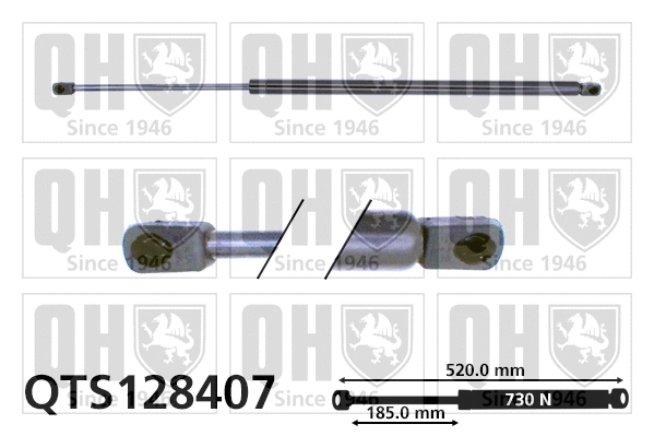 Gas Spring, boot/cargo area (QTS128407)
