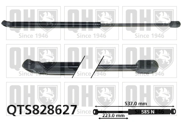 Gas Spring, boot/cargo area (QTS828627)