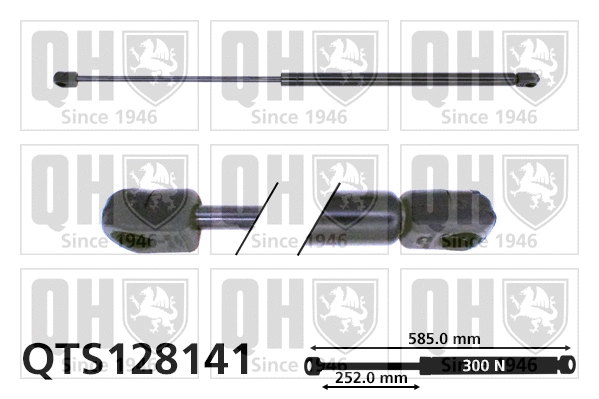 Gas Spring, boot/cargo area (QTS128141)