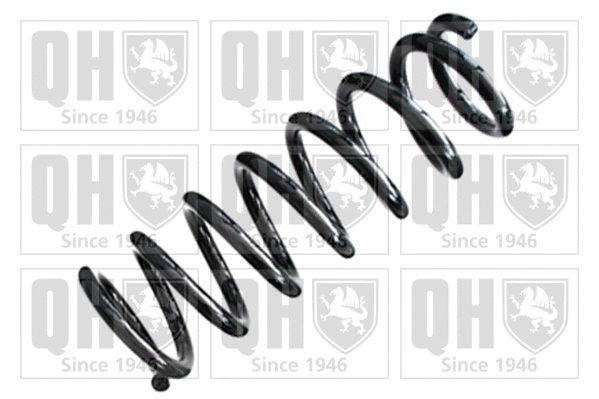 Suspension Spring (QCS6819)