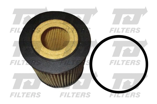 Oil Filter (QFL0073)