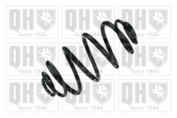 Suspension Spring (QCS6866)