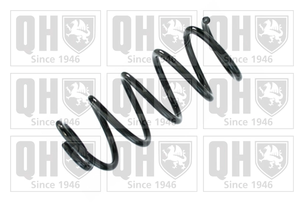 Suspension Spring (QCS8579)