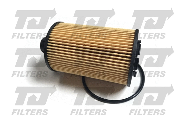 Oil Filter (QFL0334)