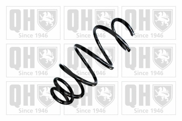 Suspension Spring (QCS9057)