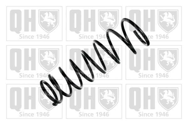 Suspension Spring (QCS7938)