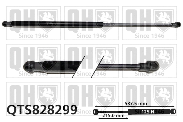 Gas Spring, rear window (QTS828299)