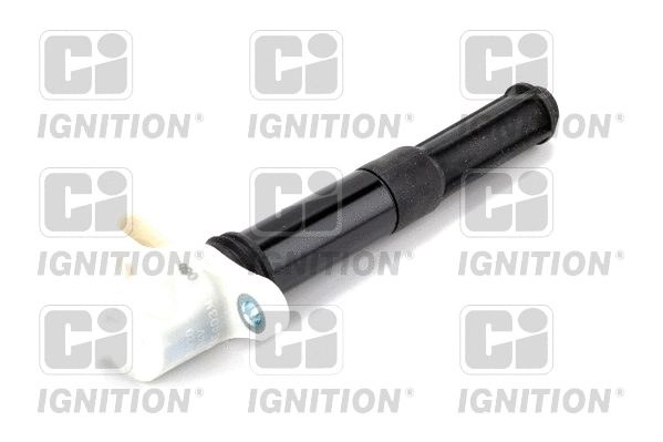 Ignition Coil (XIC8480)