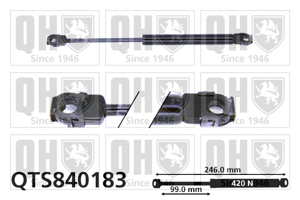 Gas Spring, bonnet (QTS840183)
