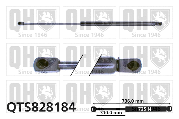 Gas Spring, boot/cargo area (QTS828184)