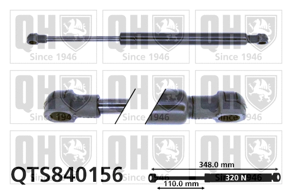 Gas Spring, boot/cargo area (QTS840156)