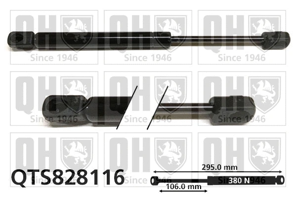 Gas Spring, bonnet (QTS828116)