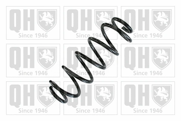 Suspension Spring (QCS9110)