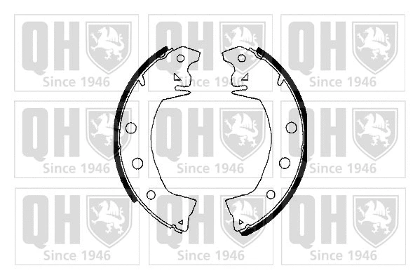 Brake Shoe Set (BS670)
