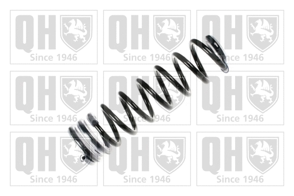 Suspension Spring (QCS7958)