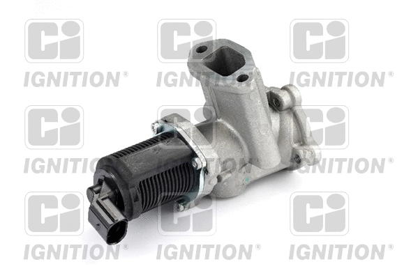 EGR Valve (XEGR81)