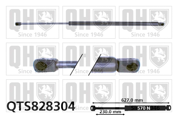 Gas Spring, boot/cargo area (QTS828304)